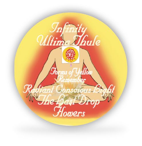 The Last Drop Flowers Disc