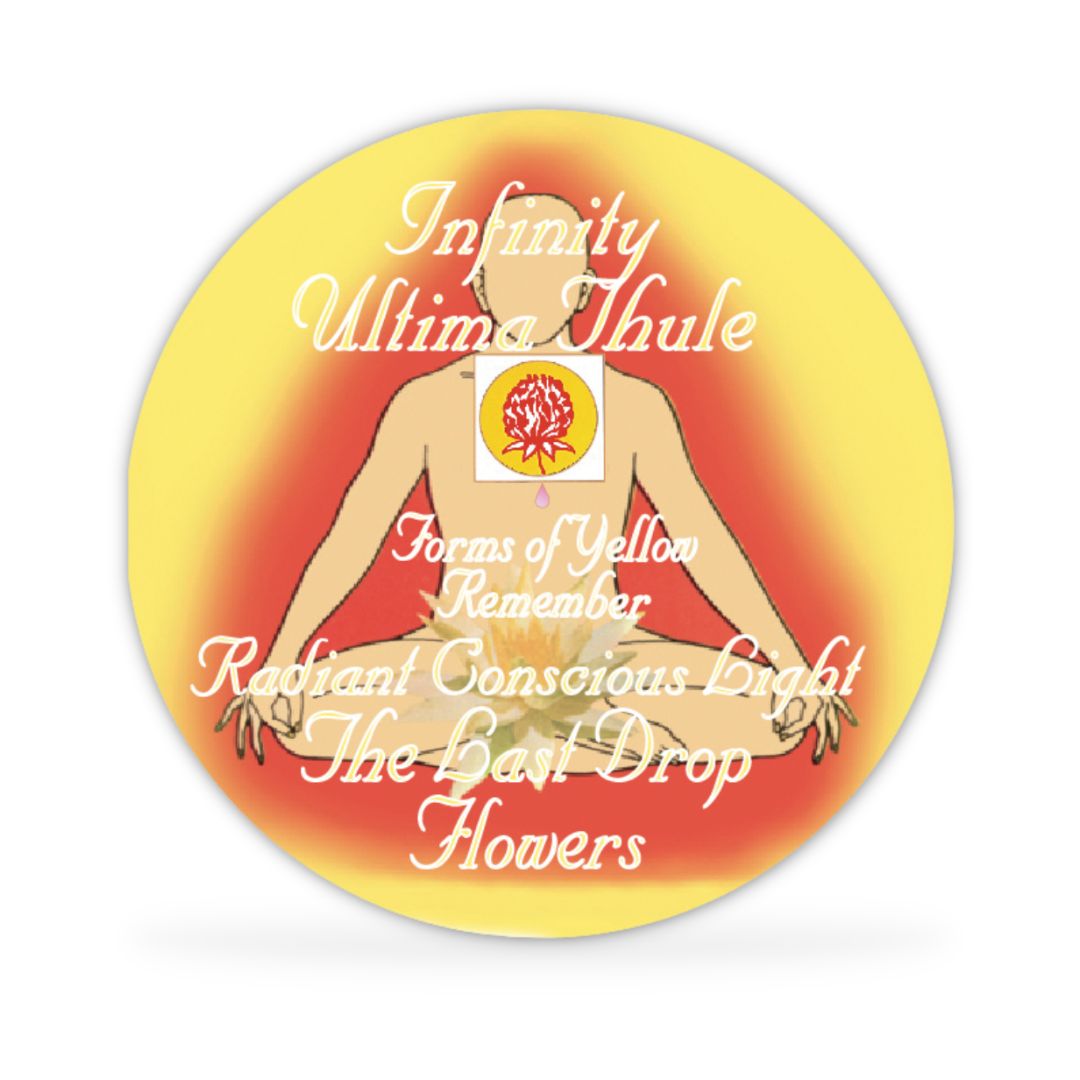 The Last Drop Flowers Disc