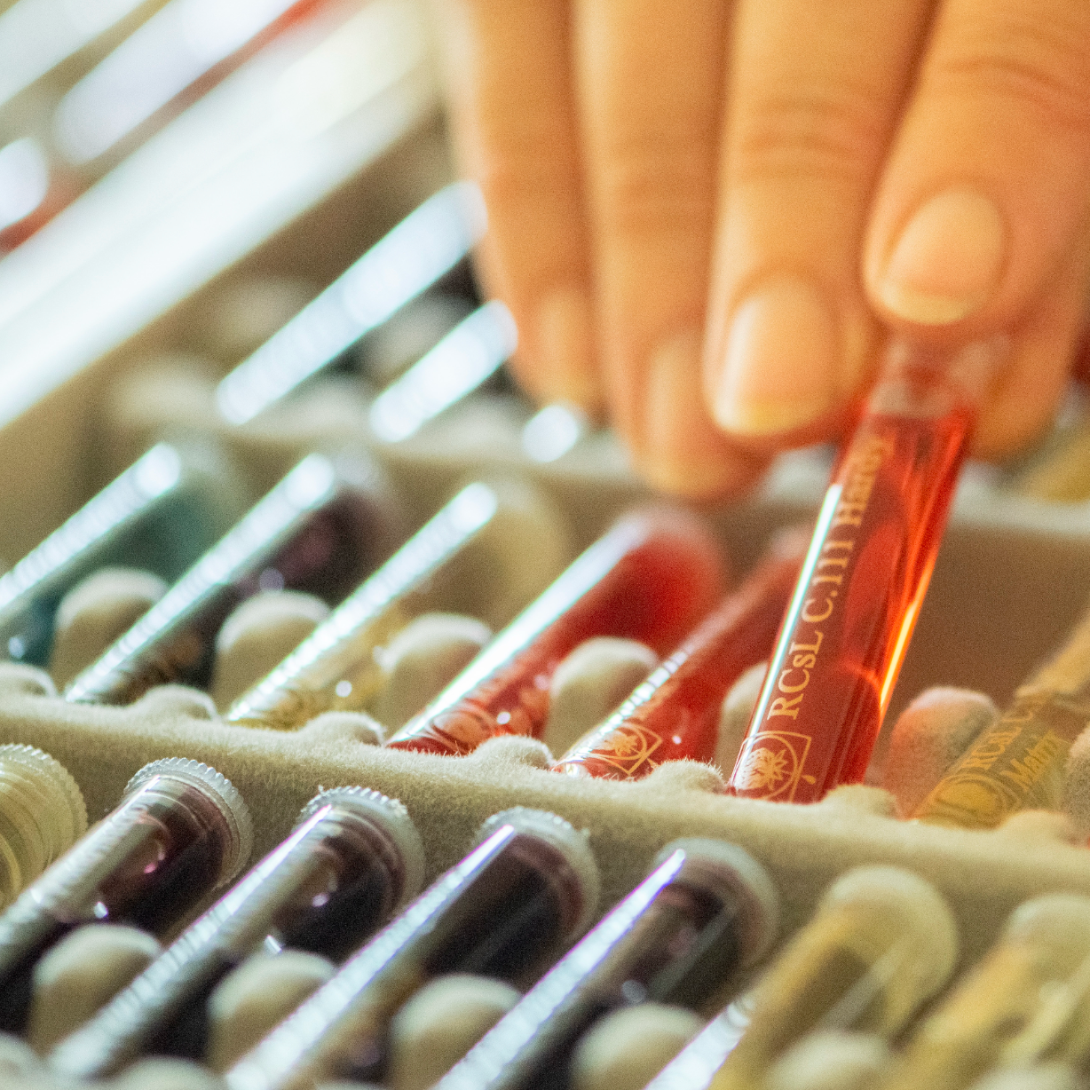 Third Threshold Pack