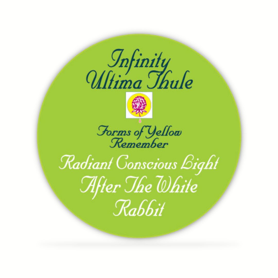 After The White Rabbit Disc – Energy Alchymie Happiness