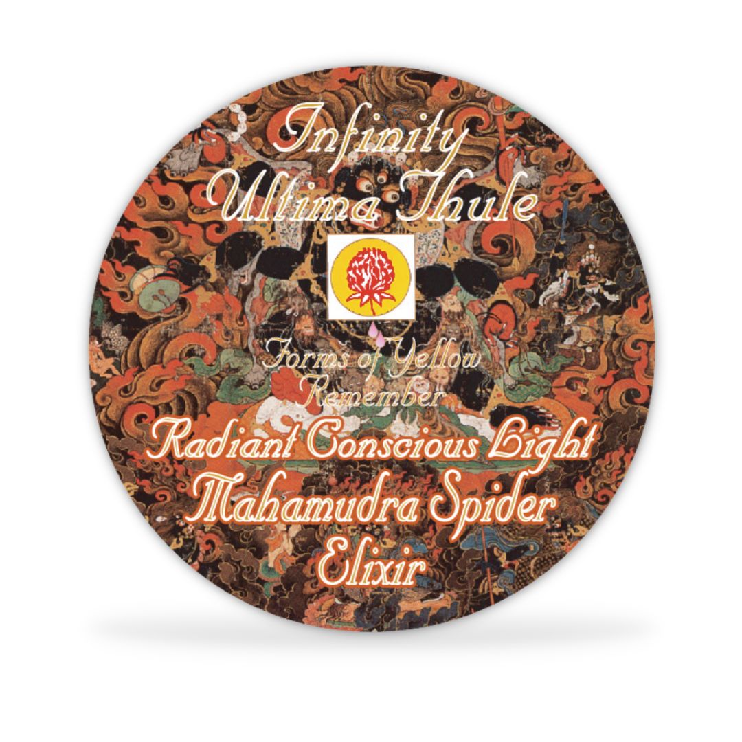 Mahamudra Spider Elixir Disc