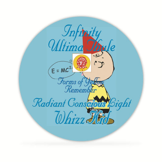 Whizz Kid Disc
